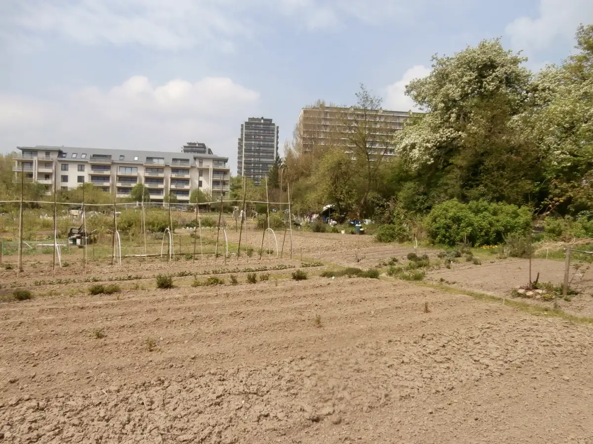 Photo des potagers de Haren