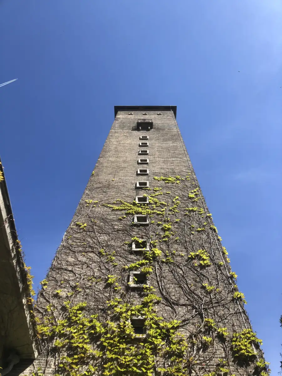 Photo prise lors d'une visite de site sur les espaces ouverts de la SLRB